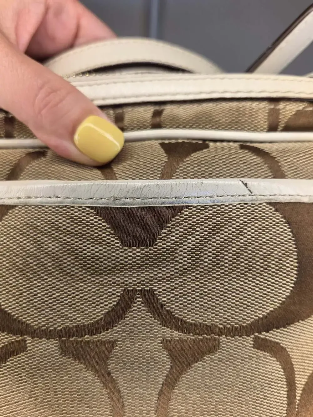 COACH Y2K Camera Bag